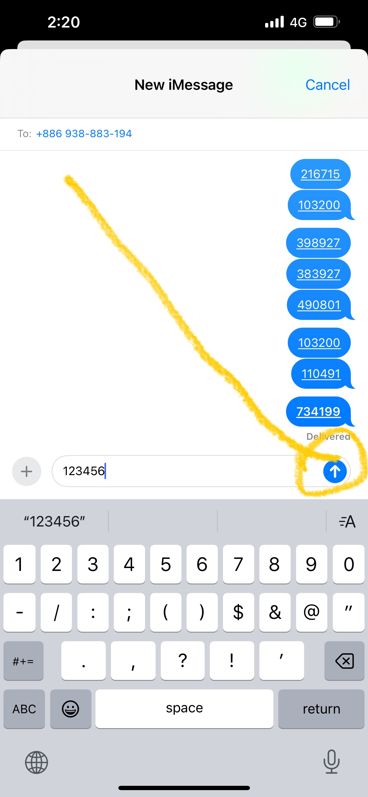 步驟 9：輸入驗證碼並點擊發送